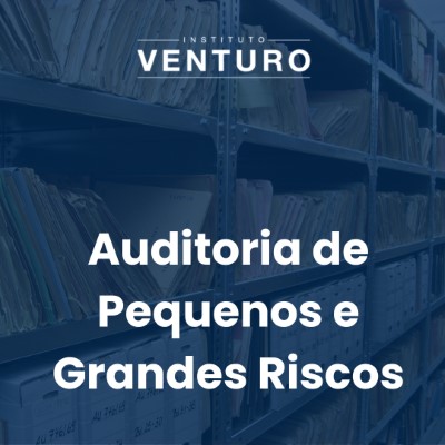 Educação Executiva e Capacitação – Auditoria de Pequenos e Grandes Riscos